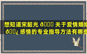 想知道宋韶光 🍀 关于爱情婚姻 🌿 感情的专业指导方法有哪些吗